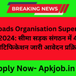 Border Roads Organisation Supervisor 466 Vacancy