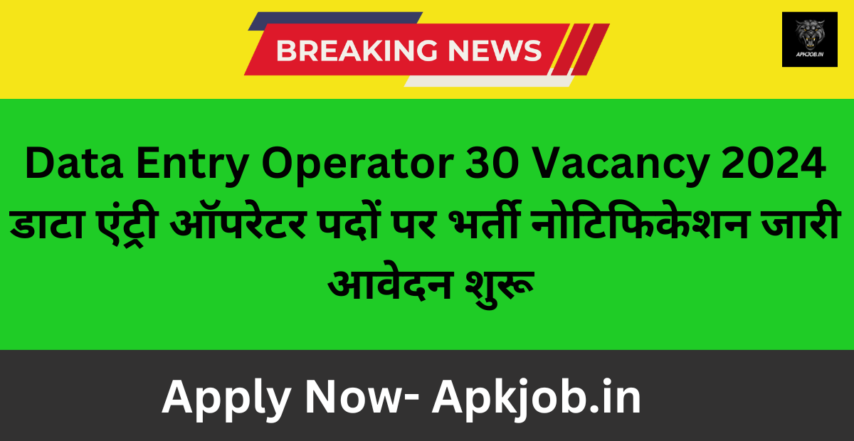 Data Entry Operator 30 Vacancy 2024: डाटा एंट्री ऑपरेटर पदों पर भर्ती नोटिफिकेशन जारी आवेदन शुरू