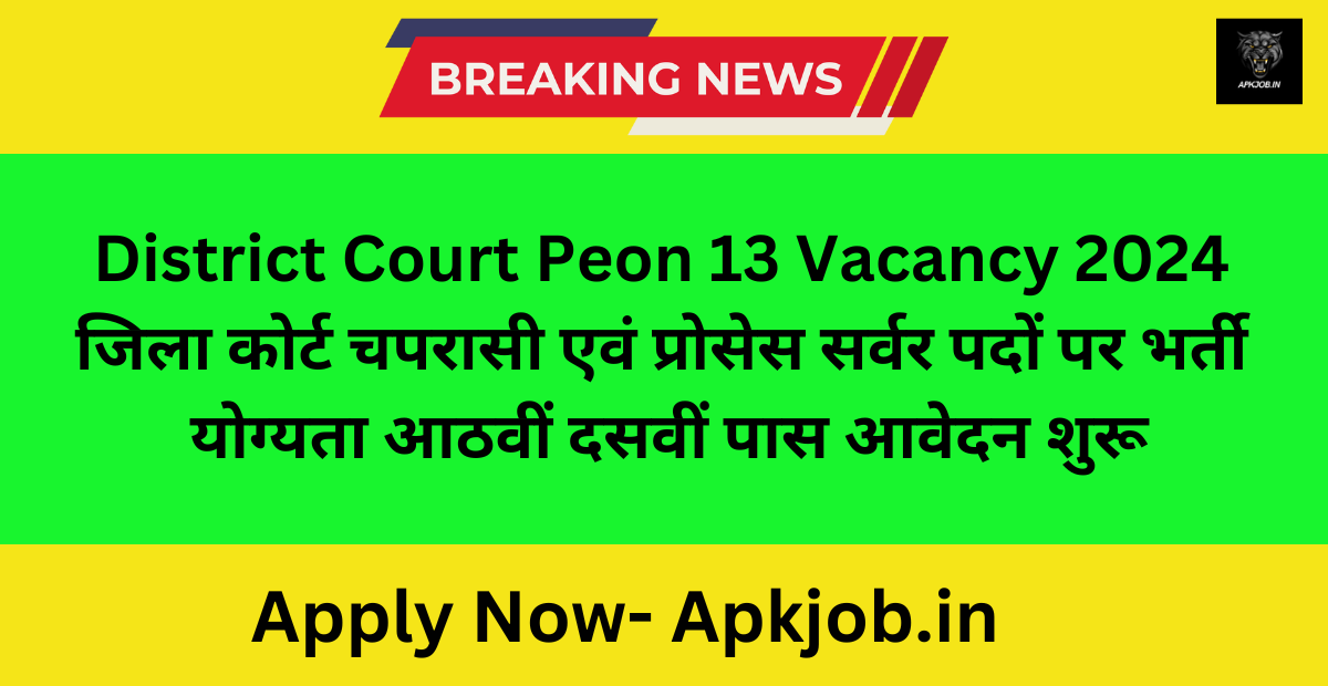 District Court Peon 13 Vacancy 2024 जिला कोर्ट चपरासी एवं प्रोसेस सर्वर पदों पर भर्ती योग्यता आठवीं दसवीं पास आवेदन शुरू